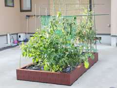 システムファーム（組立て式花壇・菜園） 60cm×90cm×2段 セット